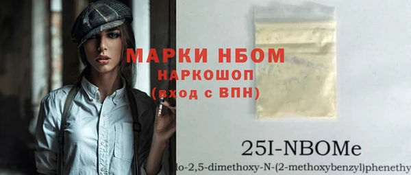 гидра Новозыбков