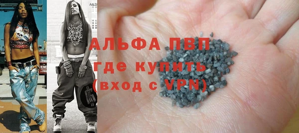 гидра Новозыбков