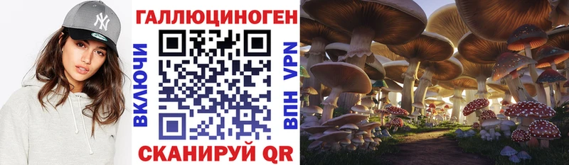 Галлюциногенные грибы MAGIC MUSHROOMS Любань